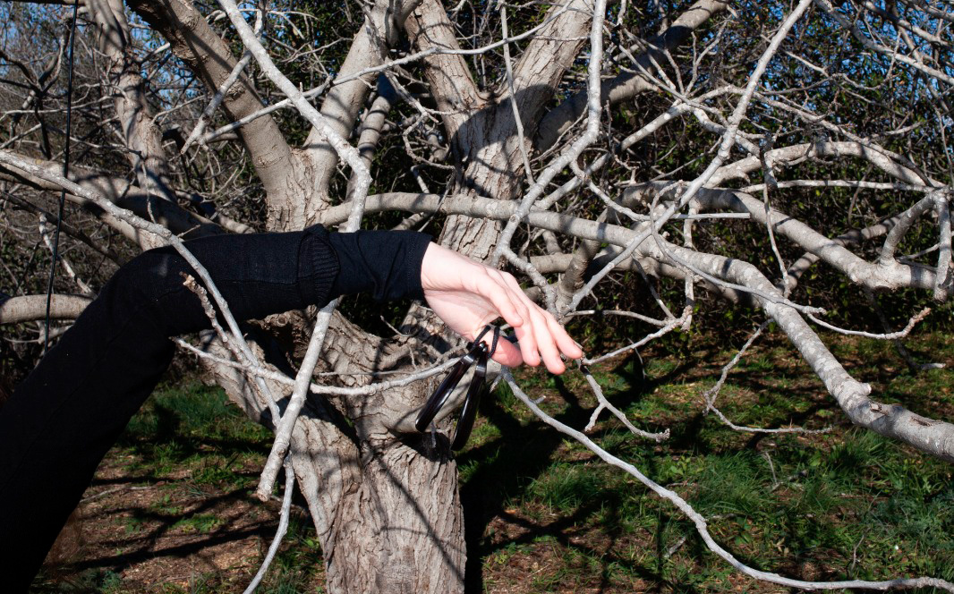 Institute for Postnatural Studies, activity: PAULA BRUNA (fig. 3)