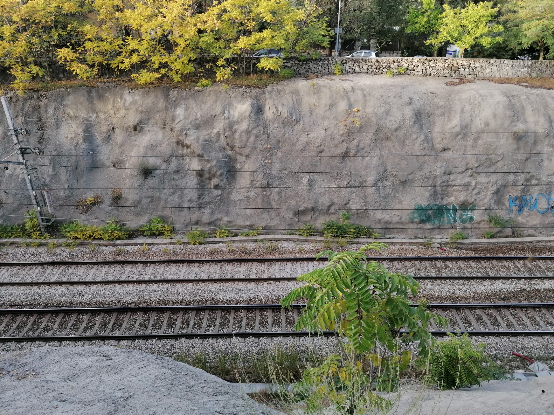 Institute for Postnatural Studies, course: POSTNATURAL GARDENING (fig. 6)
