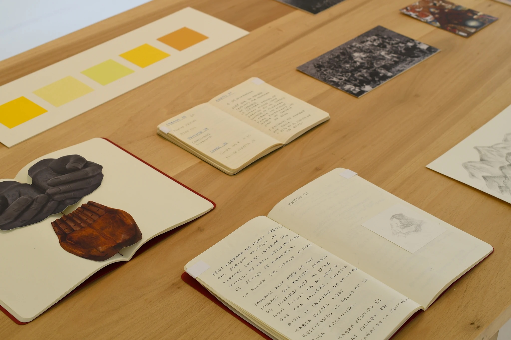 Institute for Postnatural Studies, project: SER MONTAÑA (fig. 3)