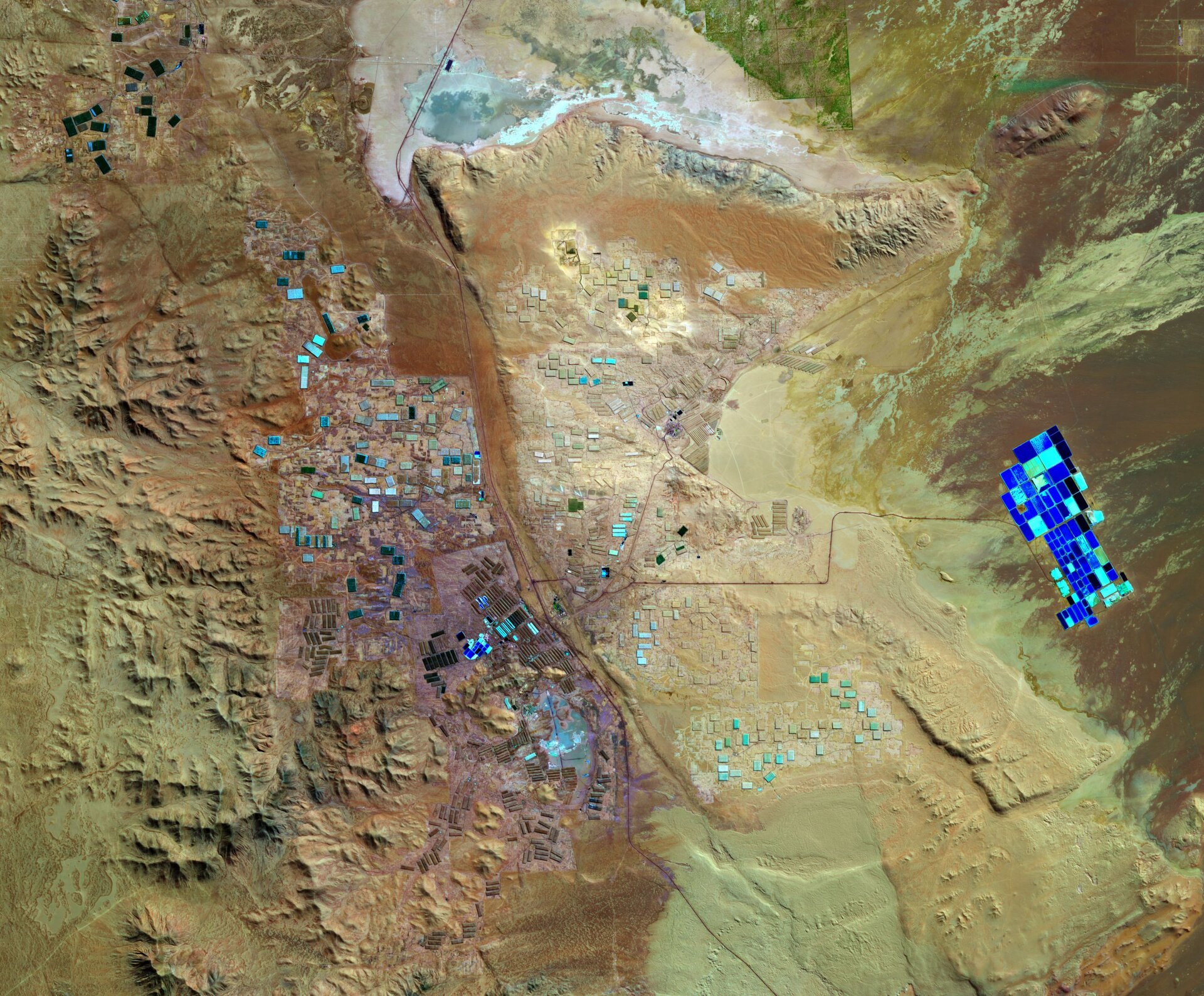 Institute for Postnatural Studies, project: TENTACULAR: More-than-Human Ecologies in the Age of Artificial Intelligence (thumbnail landscape)