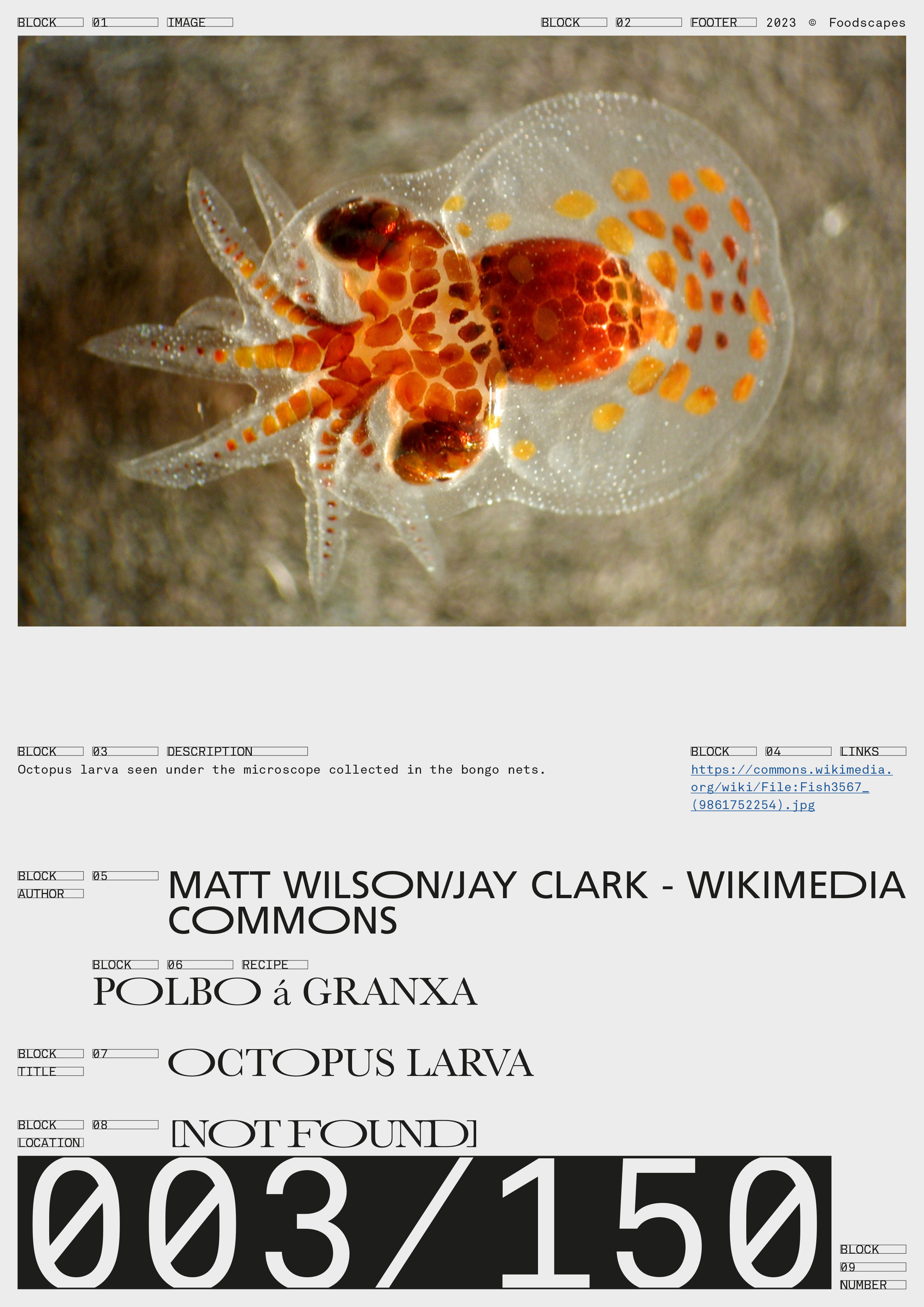 Institute for Postnatural Studies, project: FROM FLESH TO DATA (fig. 12)