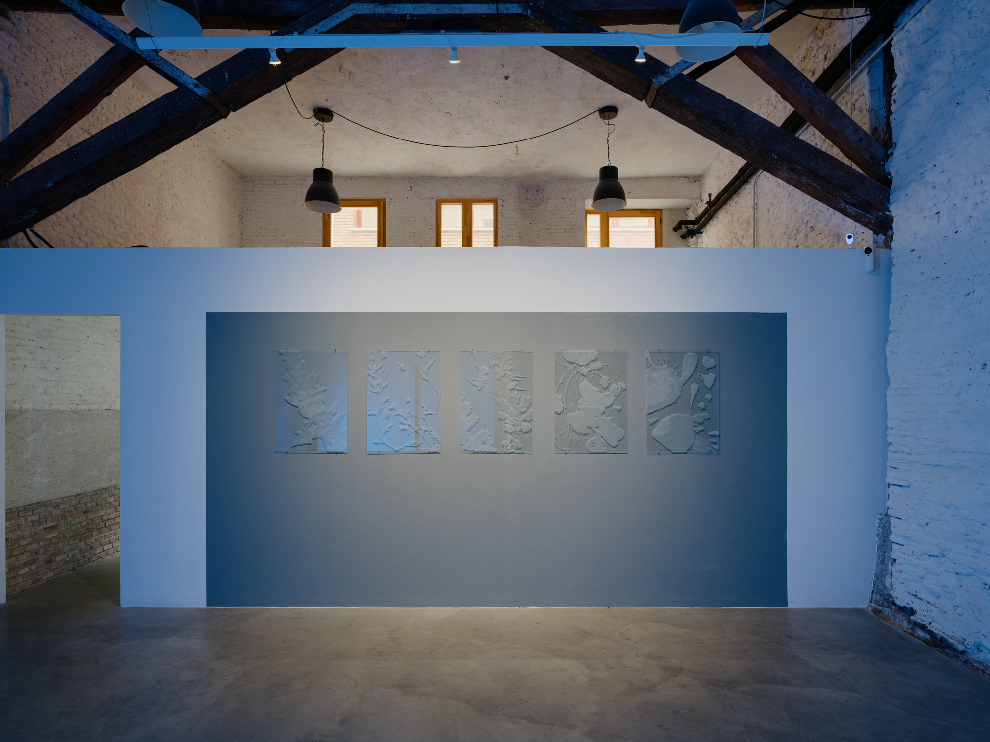 Institute for Postnatural Studies, project: Peyōni (fig. 3)