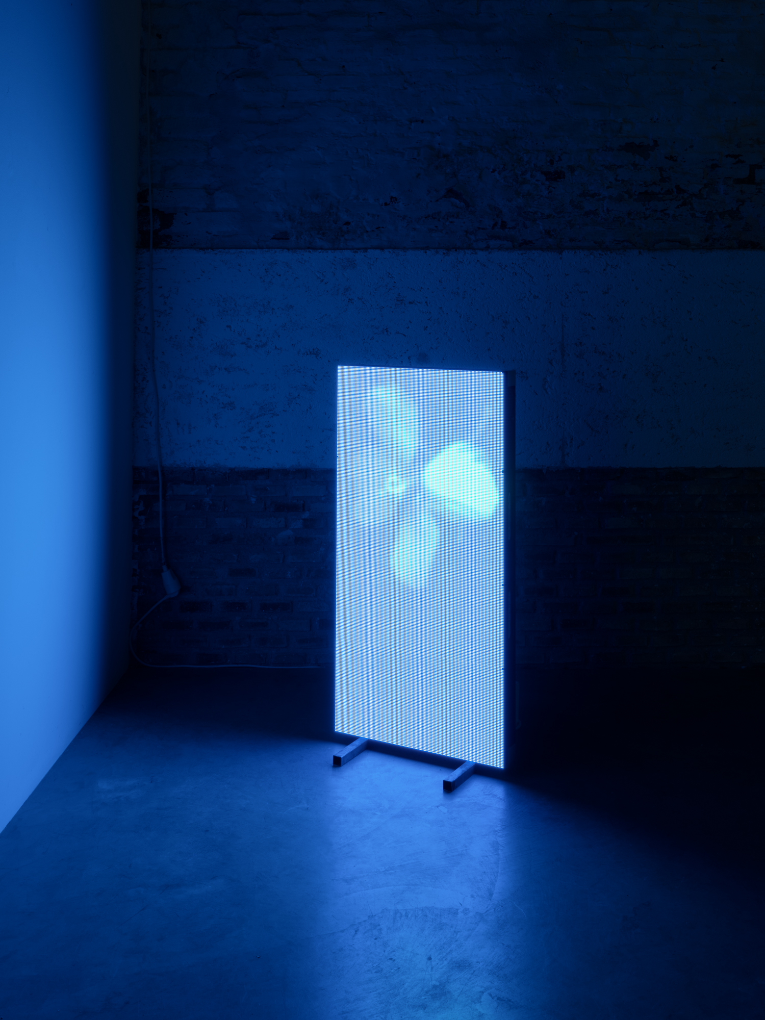 Institute for Postnatural Studies, project: Peyōni (fig. 5)