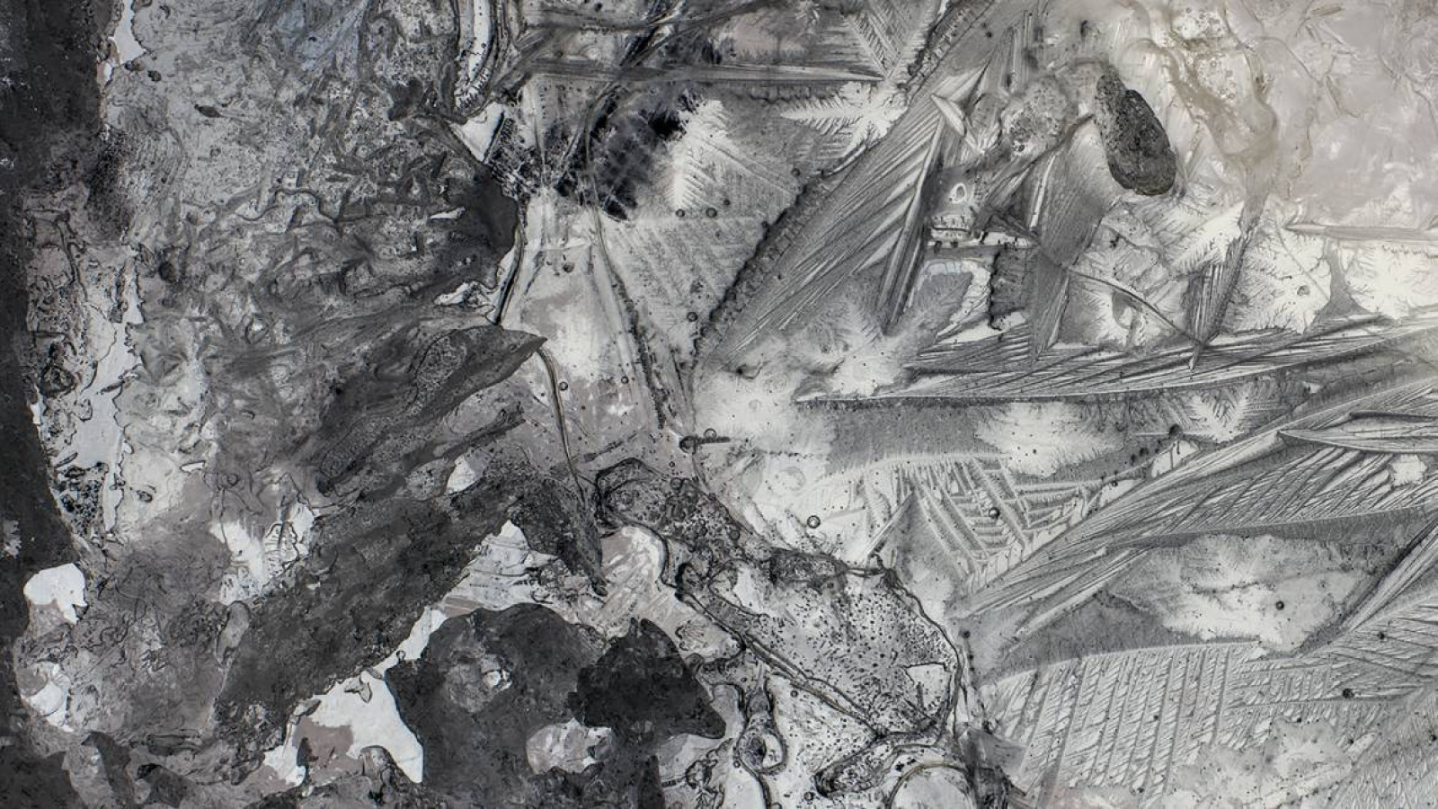 Institute for Postnatural Studies, project: PRECIOUS STRATA (thumbnail landscape)