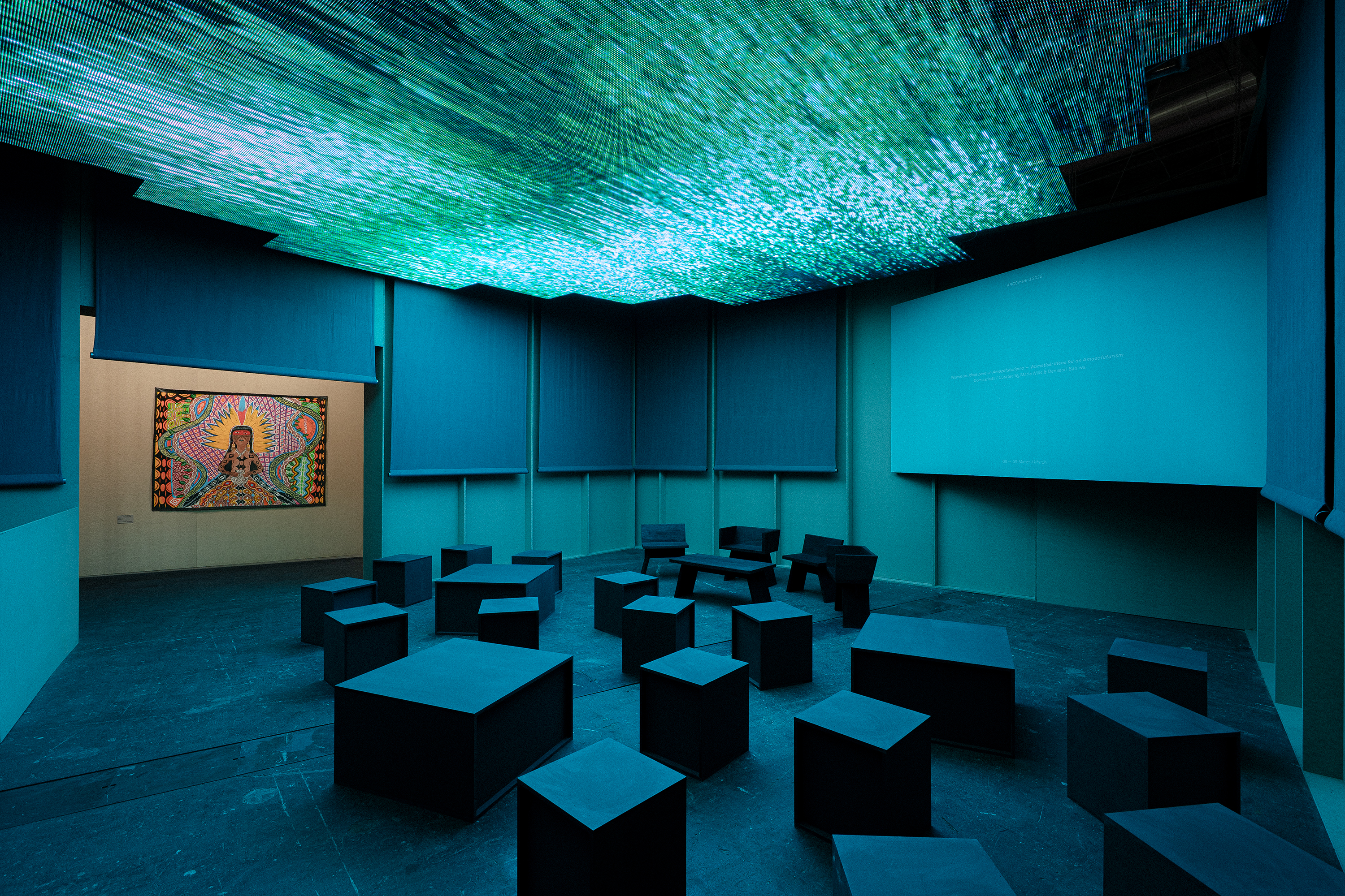 Institute for Postnatural Studies, project: Wametisé: Ideas for an Amazofuturism—ARCO 2025 (fig. 12)