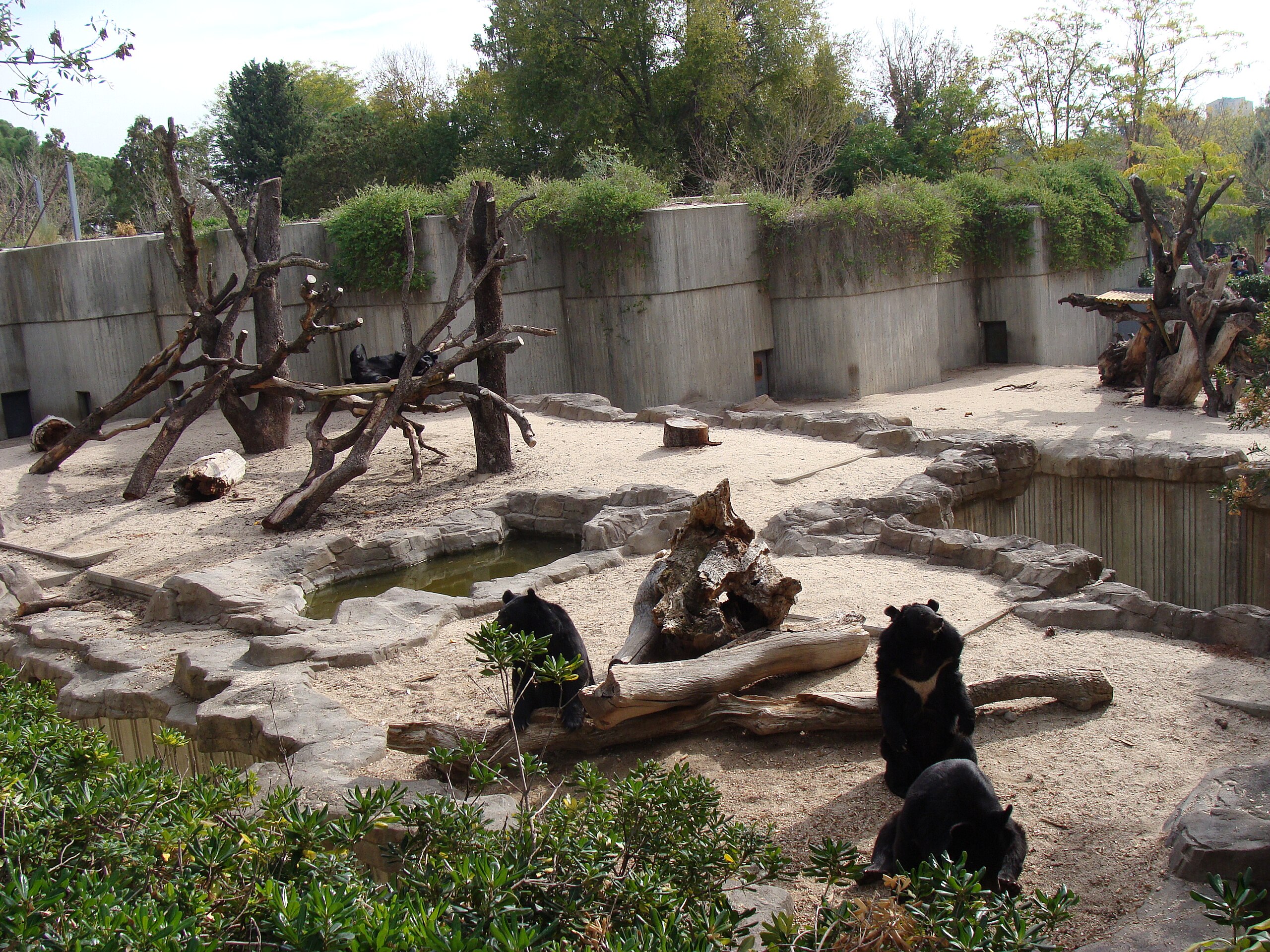 Institute for Postnatural Studies, course: For, Against, After, Towards—Architecture Beyond the Human (fig. 5)