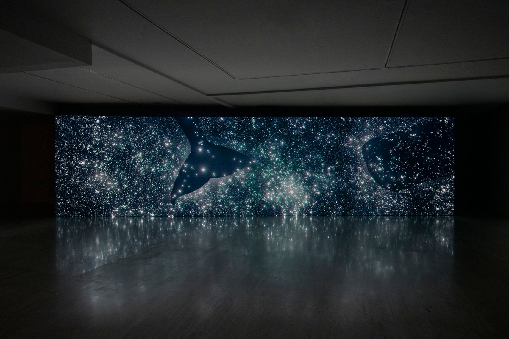 Institute for Postnatural Studies, project: DOWN ALIVE TO WONDROUS DEPTHS (thumbnail landscape)