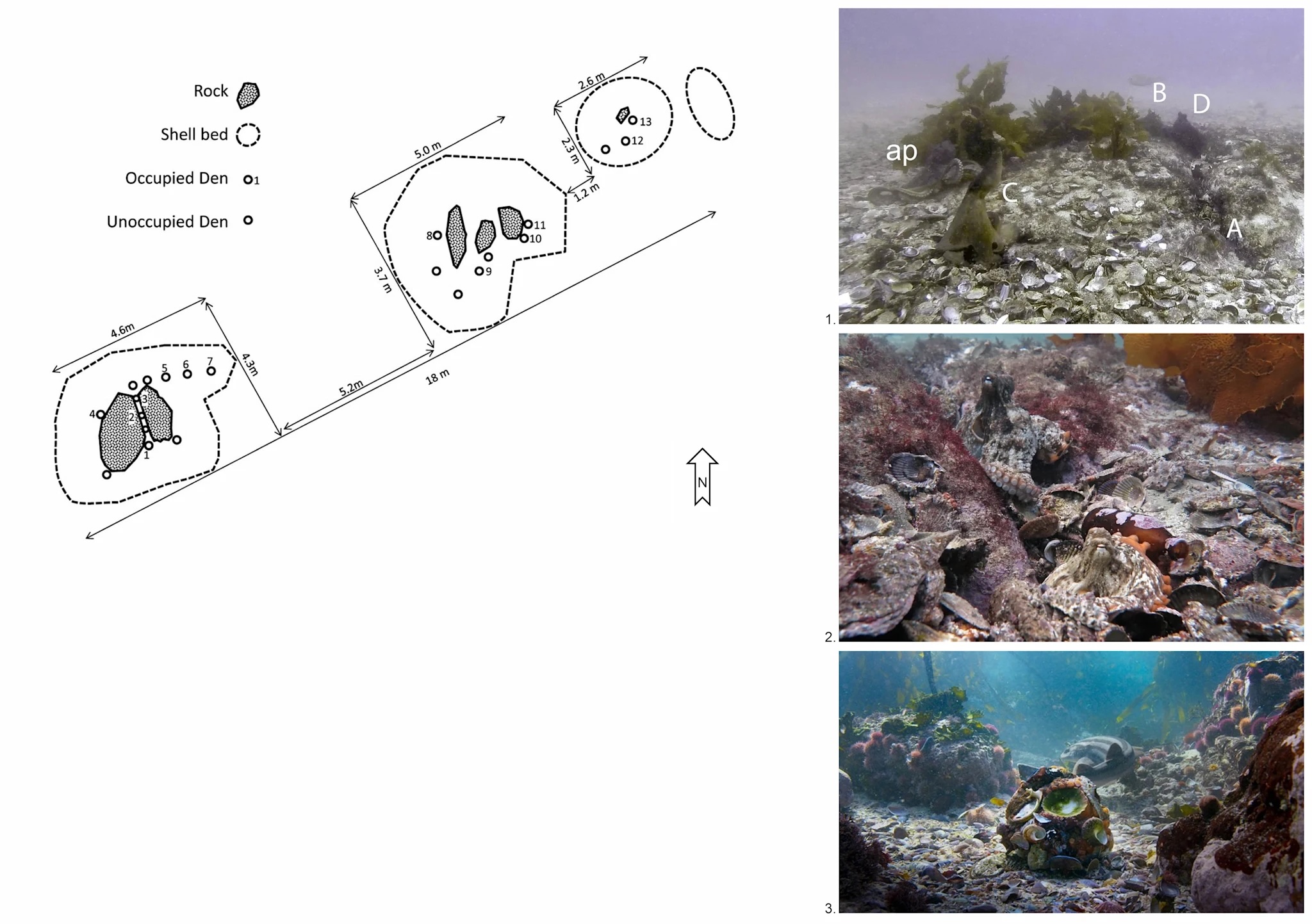 Institute for Postnatural Studies, project: FROM FLESH TO DATA (fig. 4)