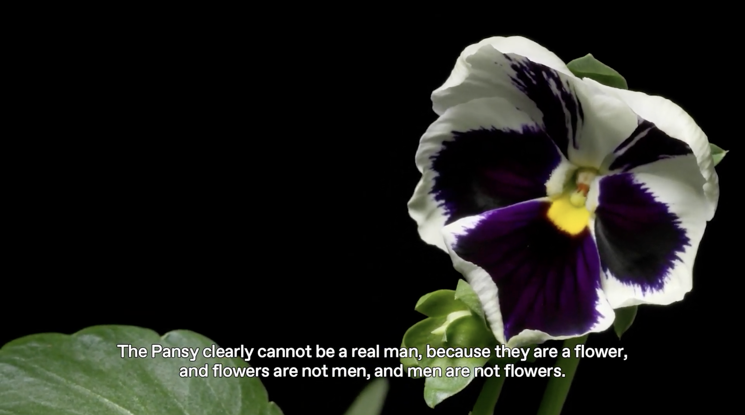 Institute for Postnatural Studies, project: METAPHYSICS OF MIXTURE: NOTES ON POSTNATURAL GARDENING (fig. 5)