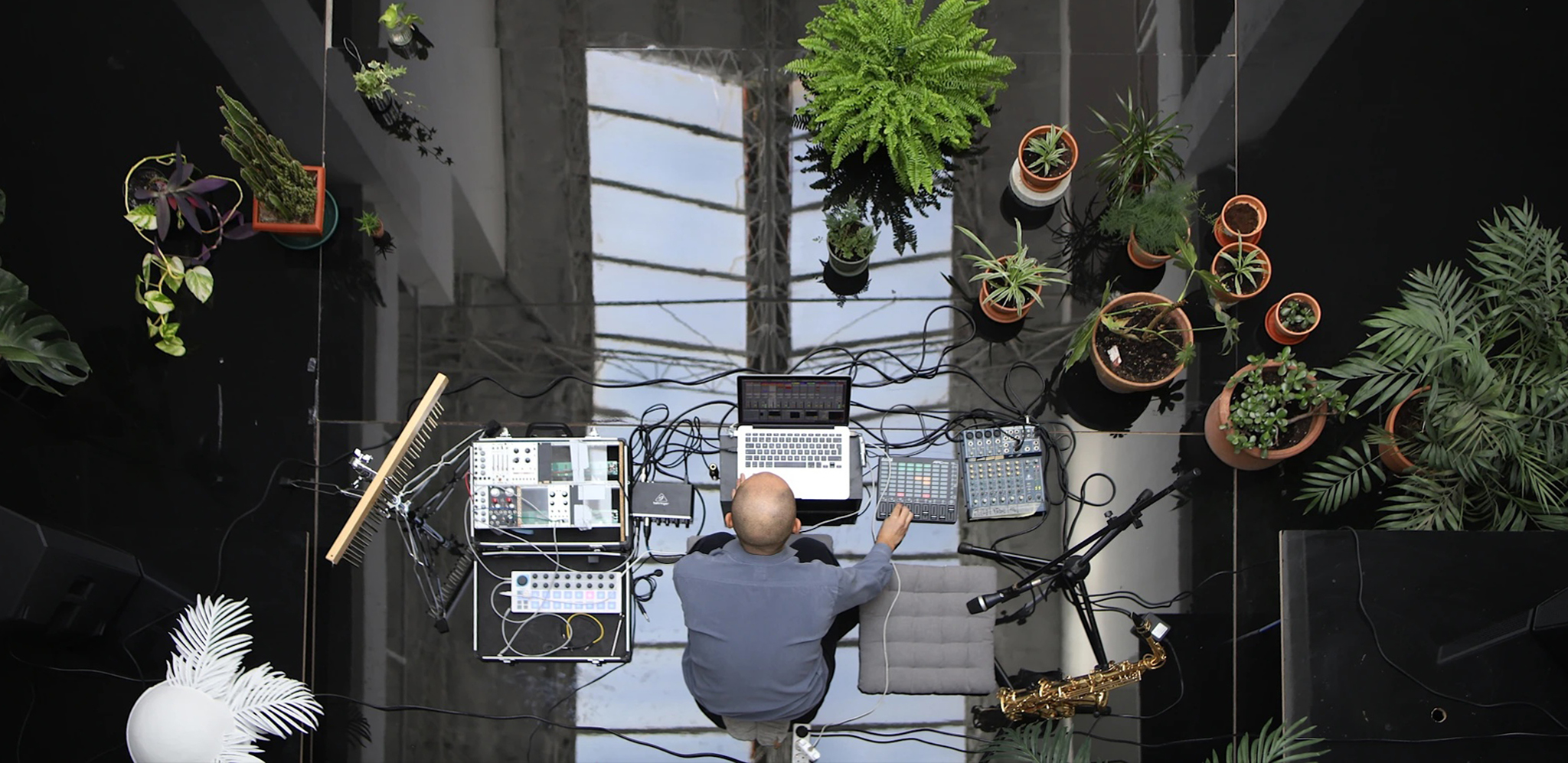 Institute for Postnatural Studies, activity: TUINDERLUSTEN: CONCERT FOR PLANTS (thumbnail landscape)