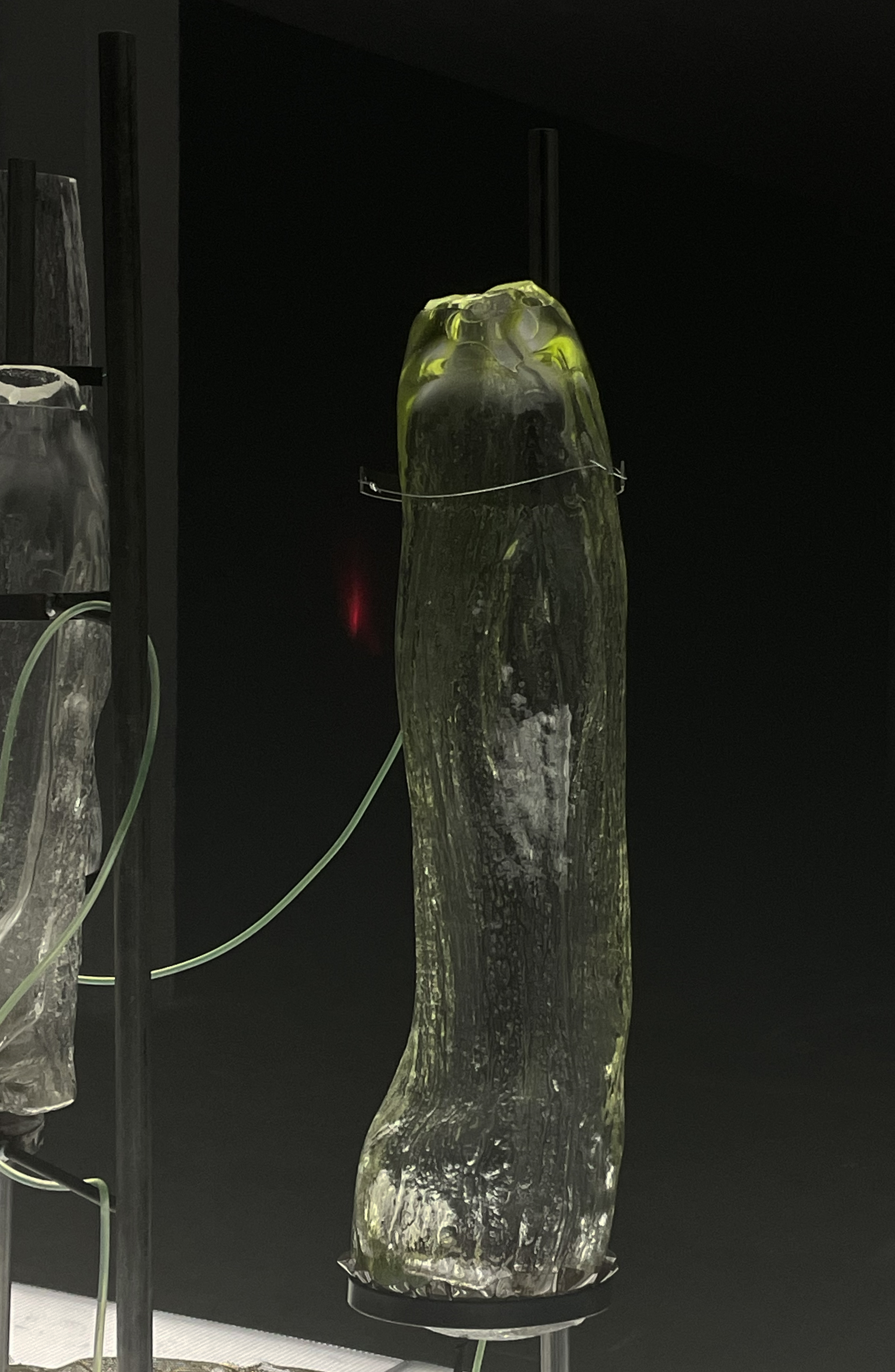Institute for Postnatural Studies, project: ASHTE (fig. 7)