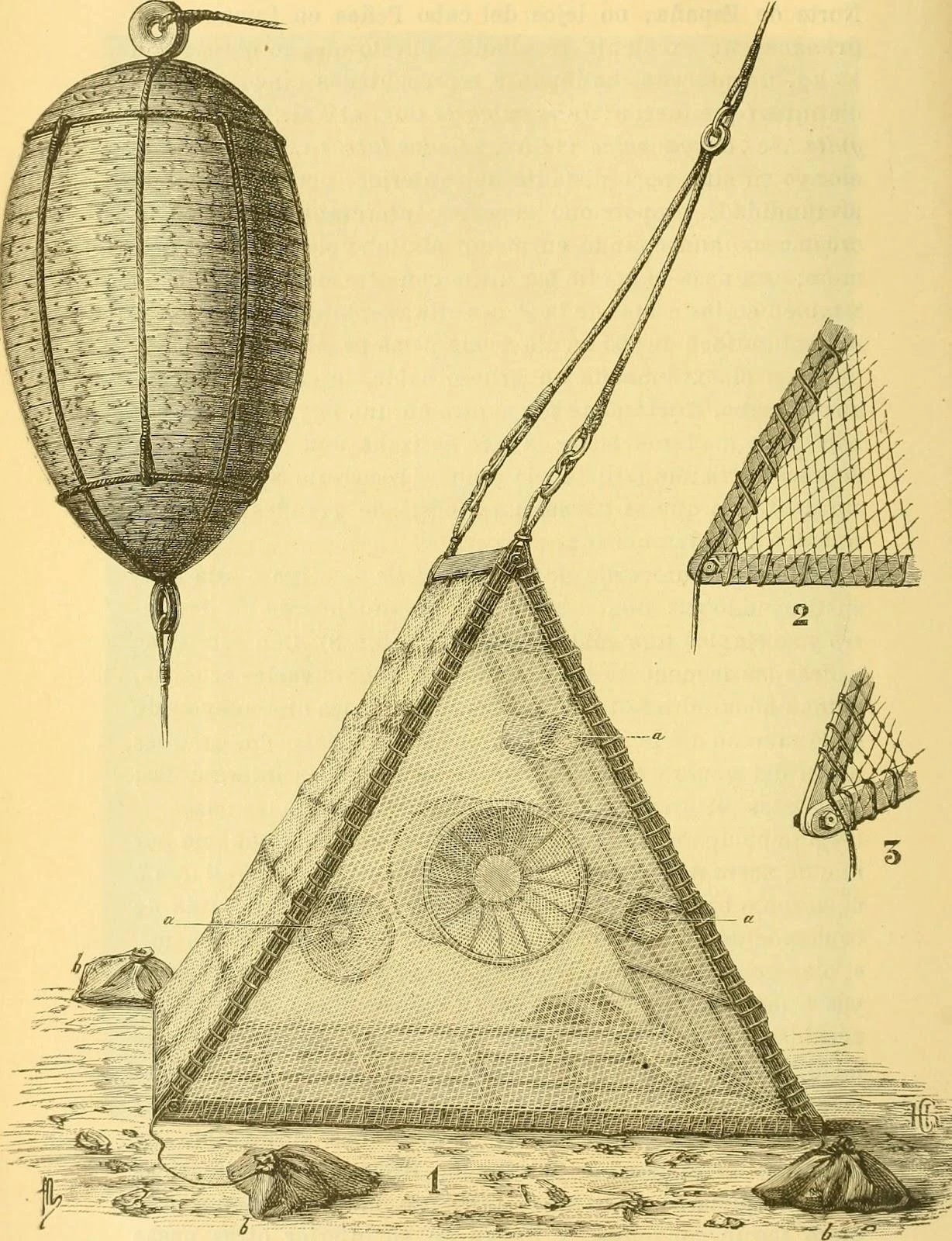 Institute for Postnatural Studies, project: FROM FLESH TO DATA (fig. 6)