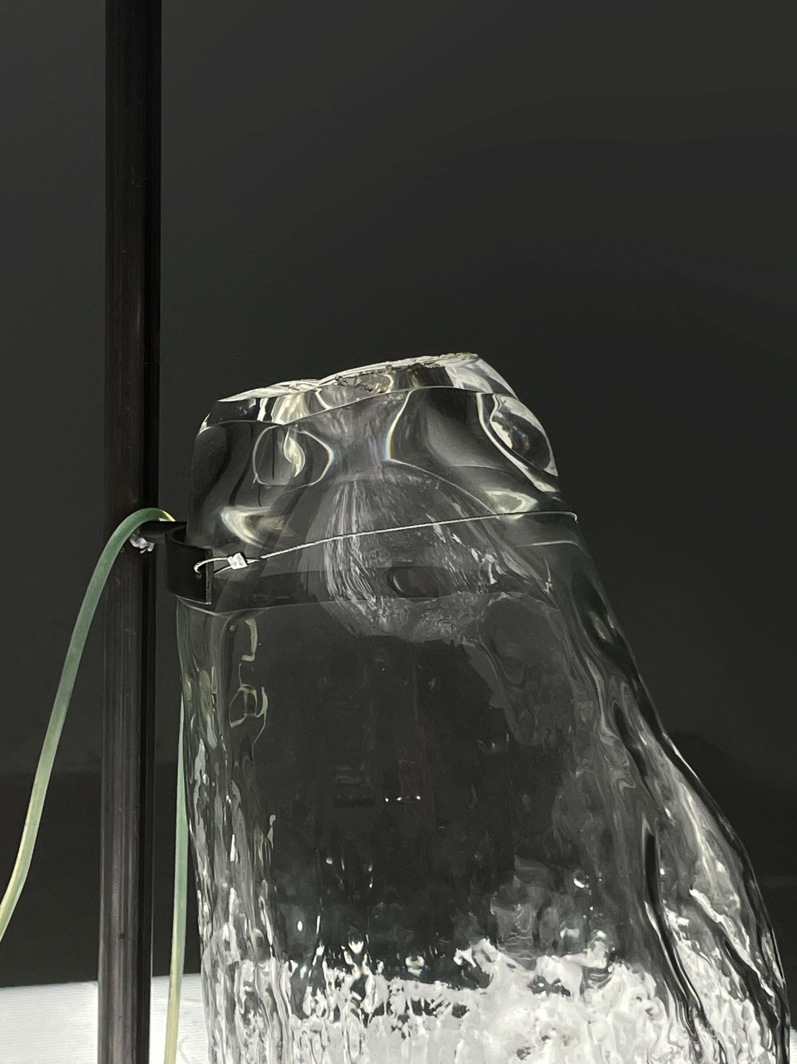 Institute for Postnatural Studies, project: ASHTE (fig. 2)