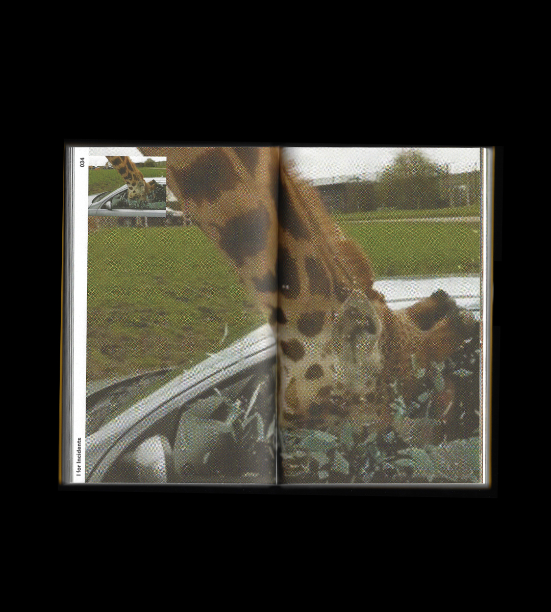 Institute for Postnatural Studies, project: ZOO INDEX: An Incomplete Listening Guide For Zoos (fig. 6)