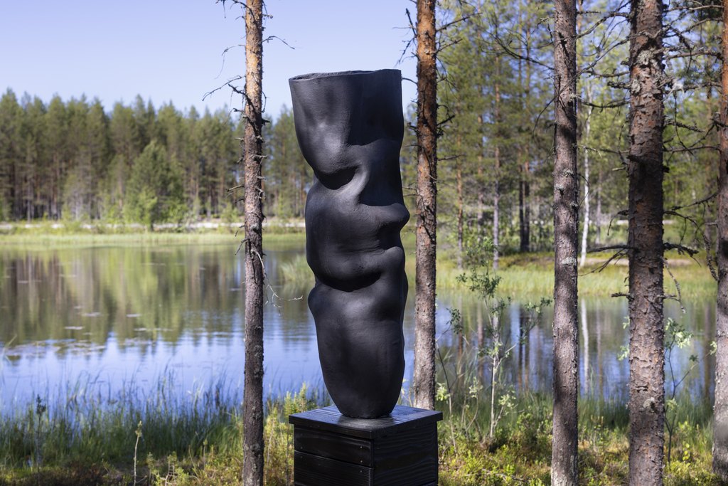 Institute for Postnatural Studies, activity: Situated Ecologies: Alice Sharp (Invisible Dust) on exchanging methods between art and science (fig. 3)