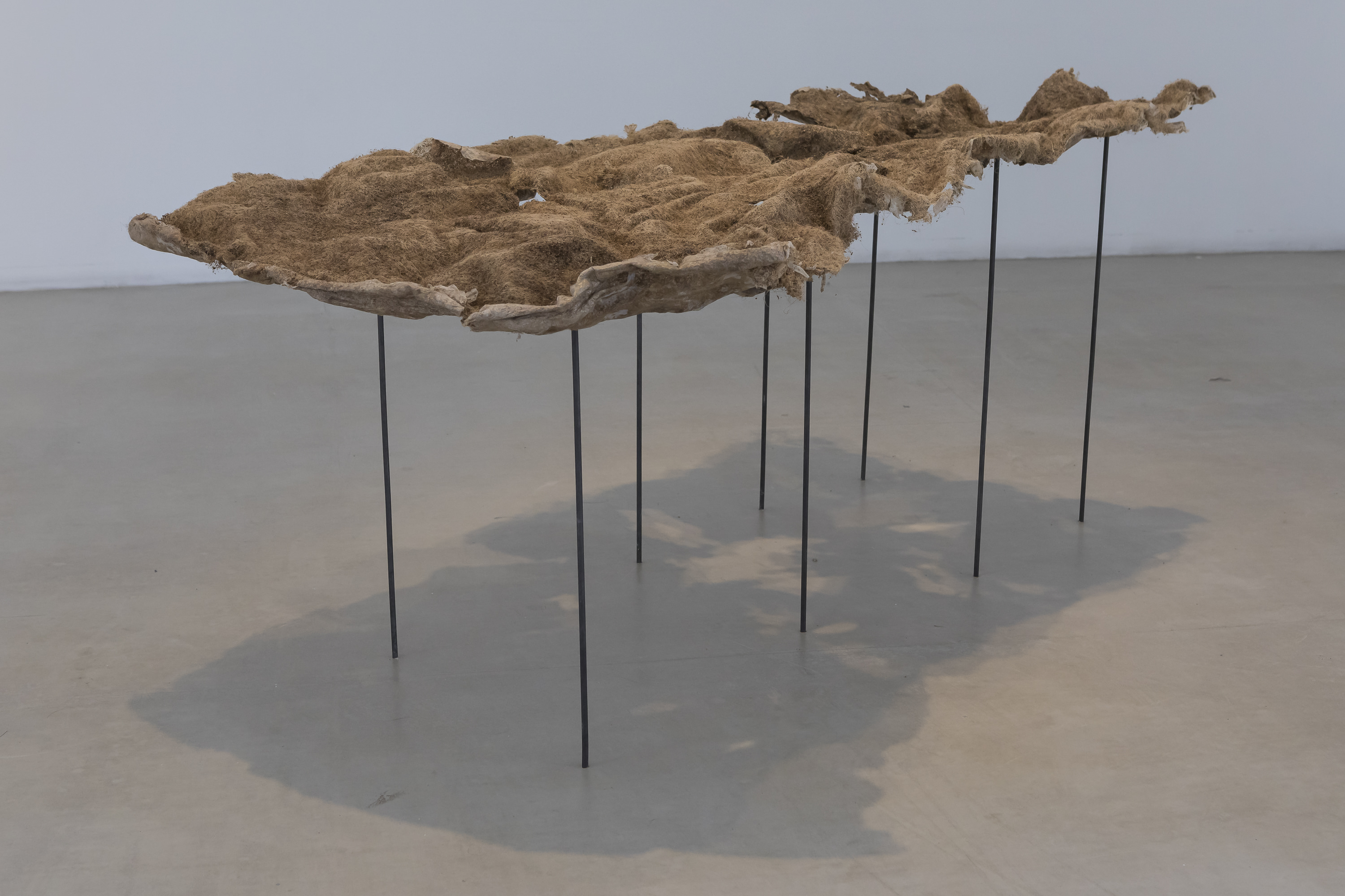 Institute for Postnatural Studies, activity: PAULA BRUNA (fig. 1)