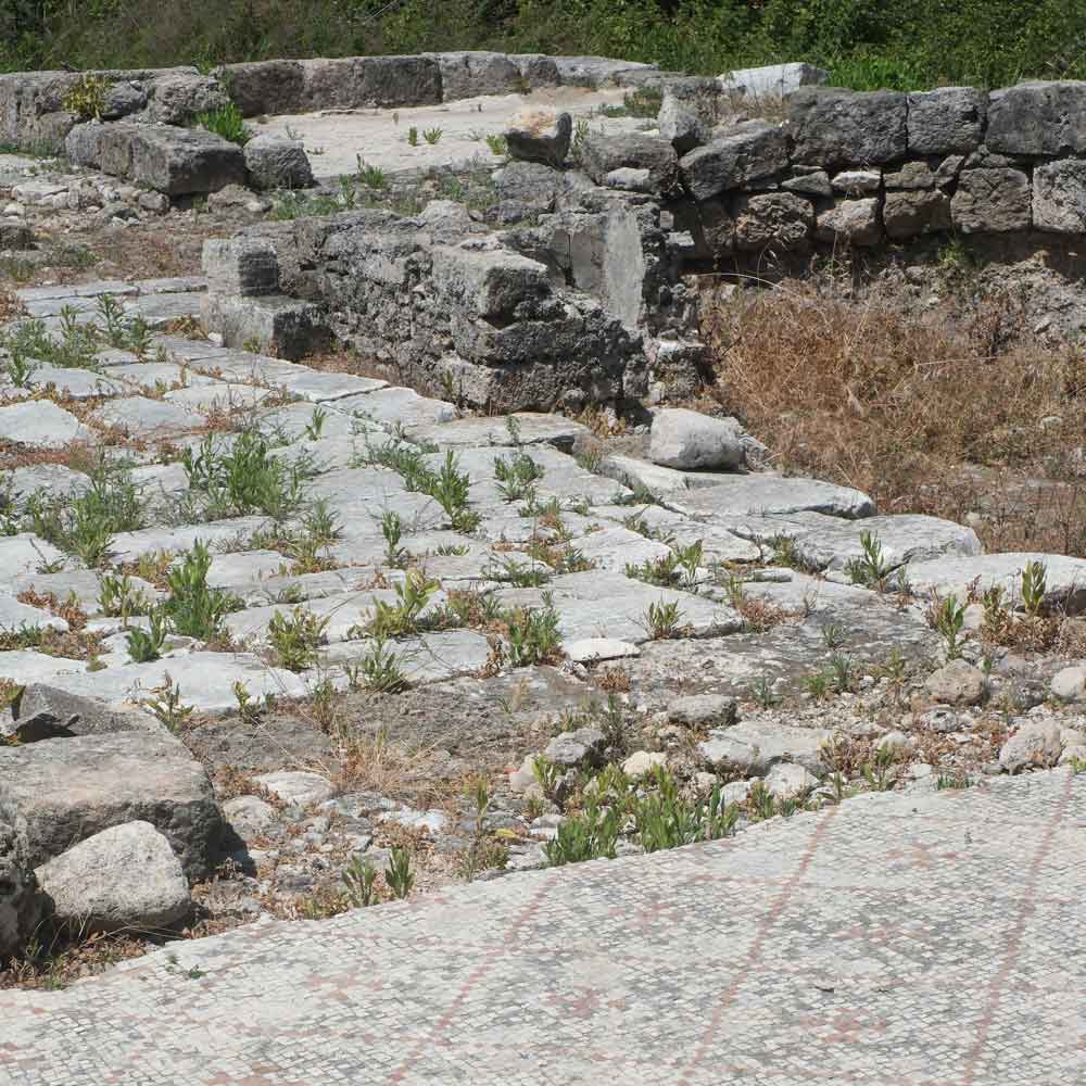 Institute for Postnatural Studies, playlist: What the Land Remembers When We Cannot by Jess Zamora-Turner, Valerie Prinz, Kutlwano Ramphele, Irina-Anca Bobei, Tamara Kalo, Abri de Swardt (thumbnail)