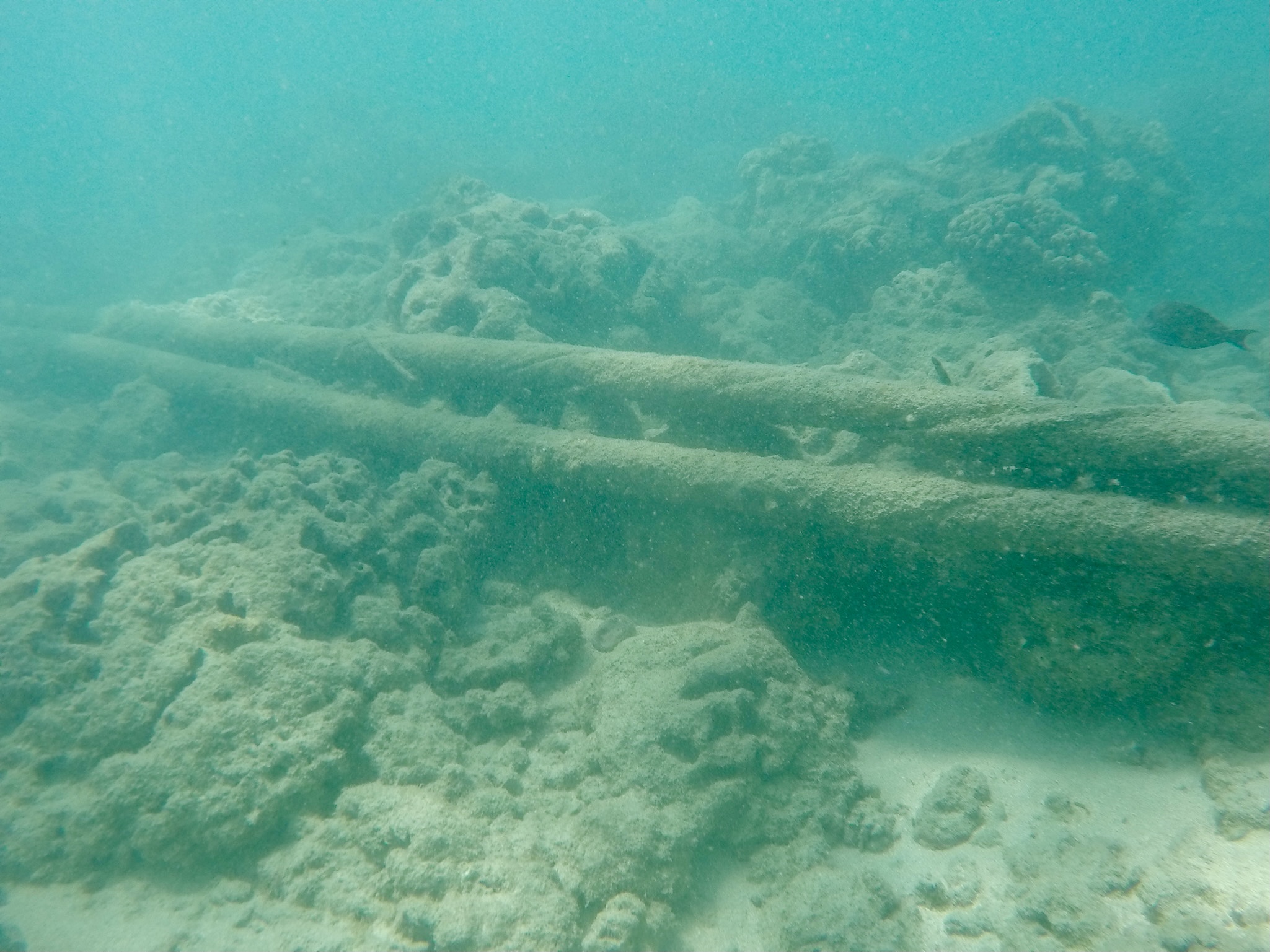 Institute for Postnatural Studies, project: L'Ocea Parla: Critical Cartography of Underwater Barcelona (fig. 5)