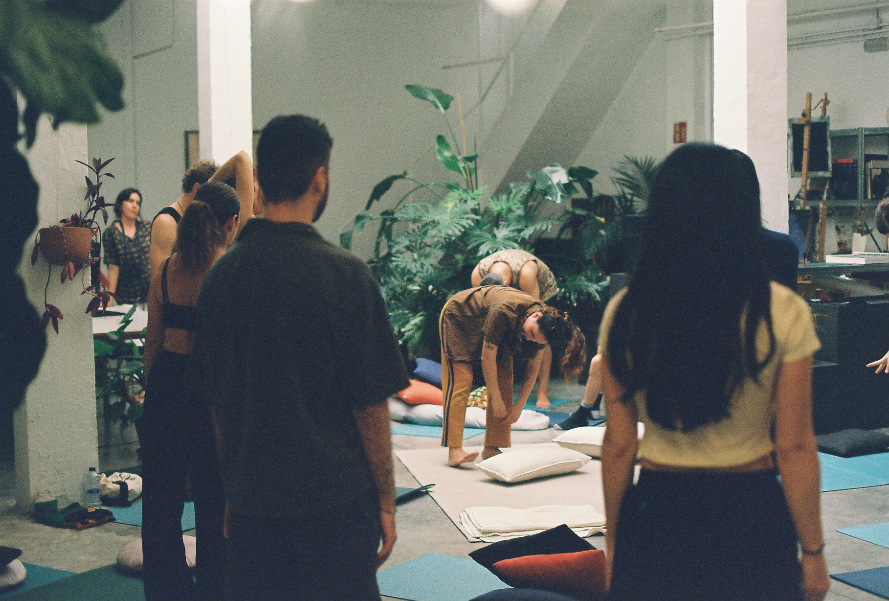 Institute for Postnatural Studies, activity: TUKUY: COLLECTIVE MASHADA (thumbnail landscape)
