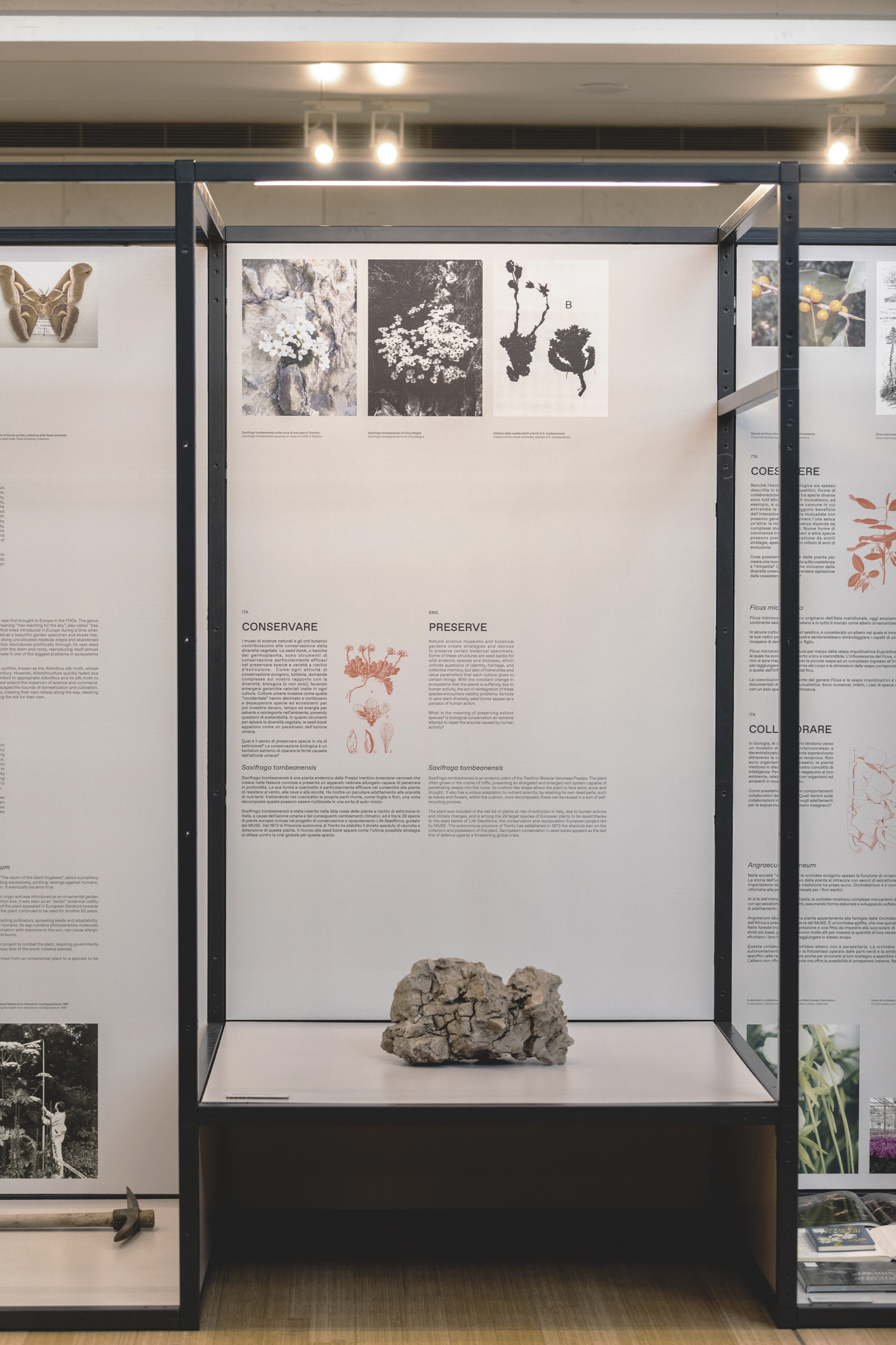 Institute for Postnatural Studies, project: Postnatural Gardening: Ecological practices for interspecies care (fig. 7)