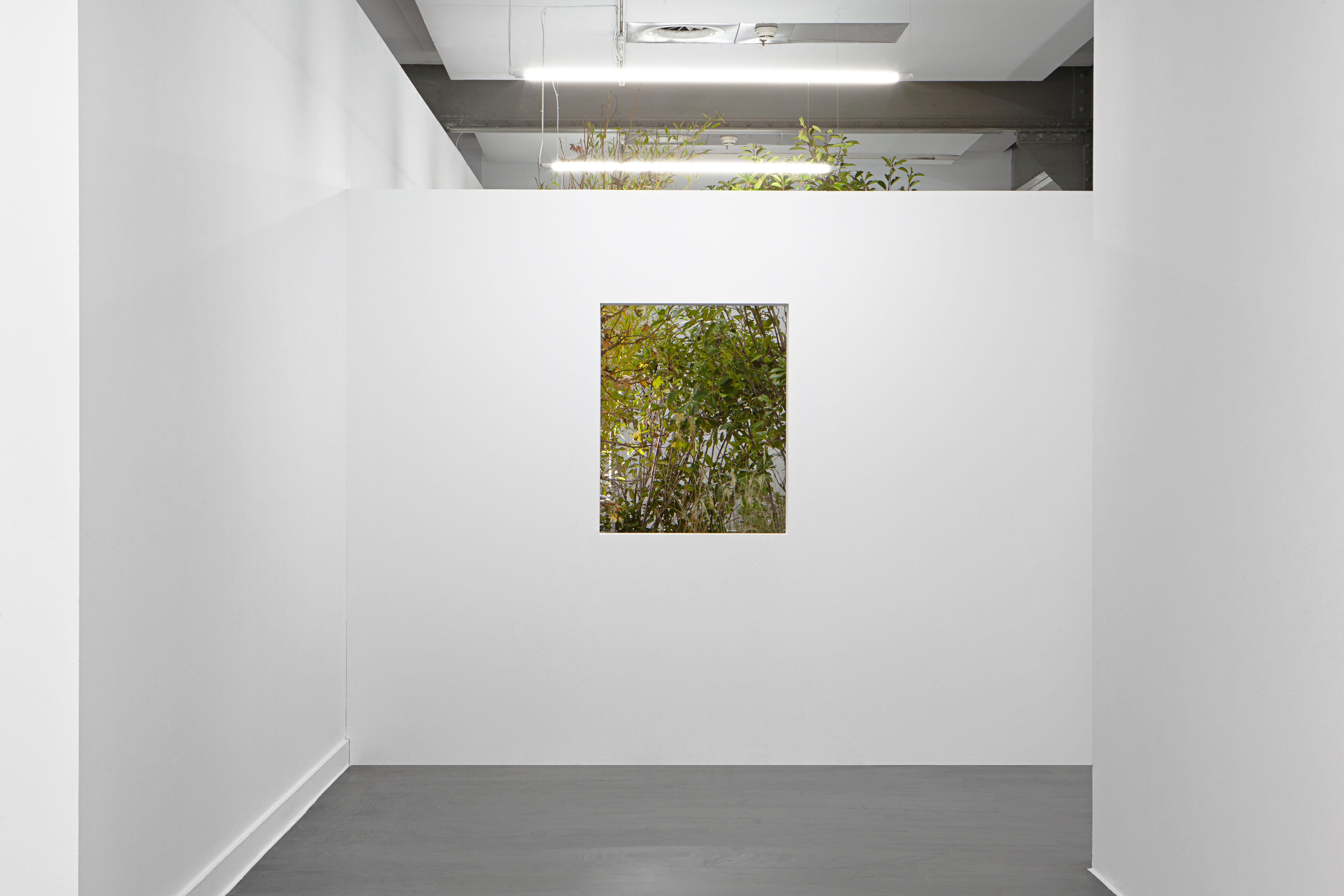 Institute for Postnatural Studies, project: A Green Jade Lake (fig. 1)