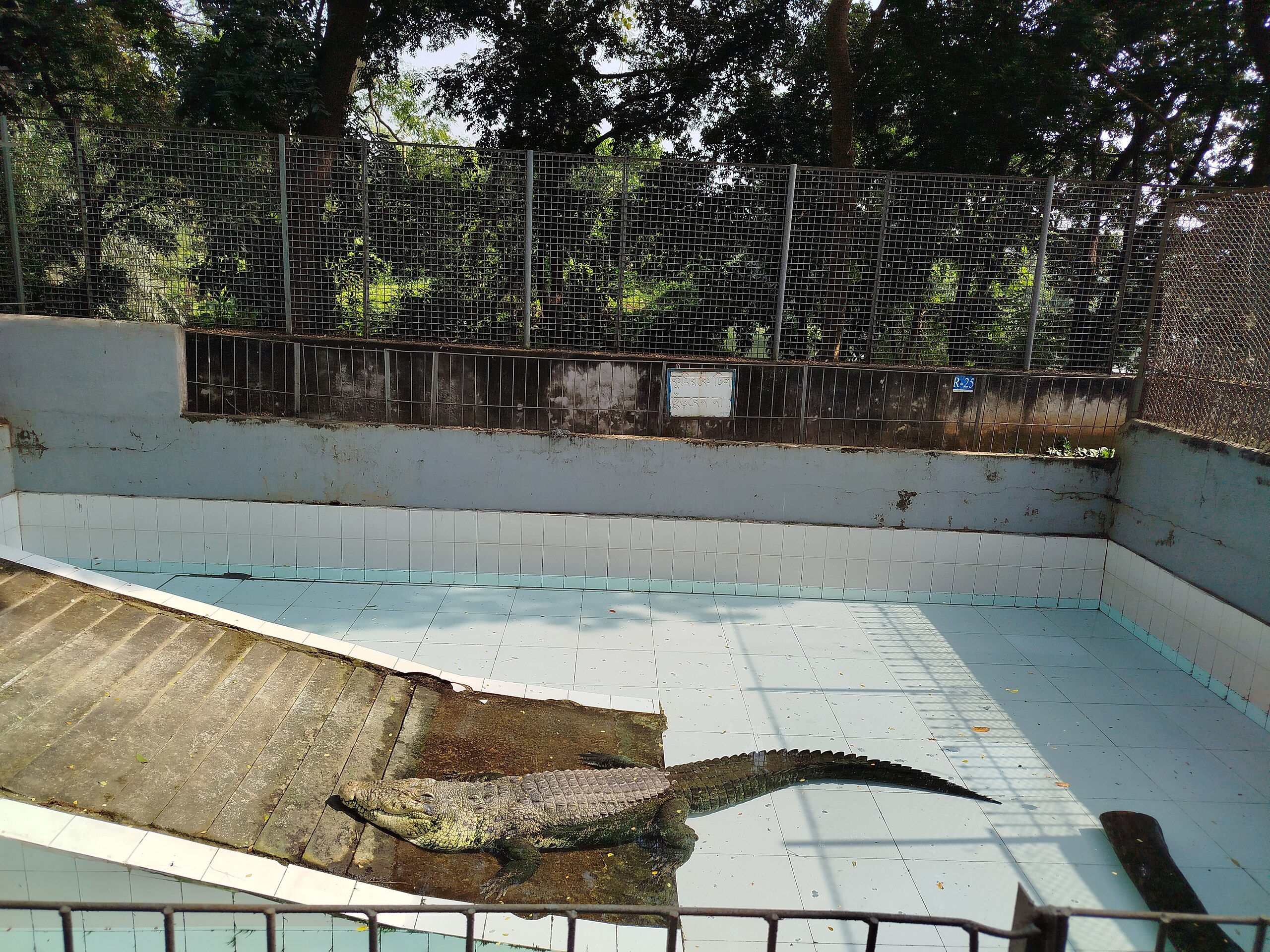 Institute for Postnatural Studies, course: For, Against, After, Towards—Architecture Beyond the Human (fig. 3)