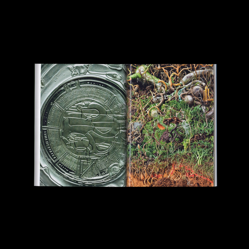 Institute for Postnatural Studies, course: POSTNATURAL INDEPENDENT PROGRAM 2026 (fig. 24)