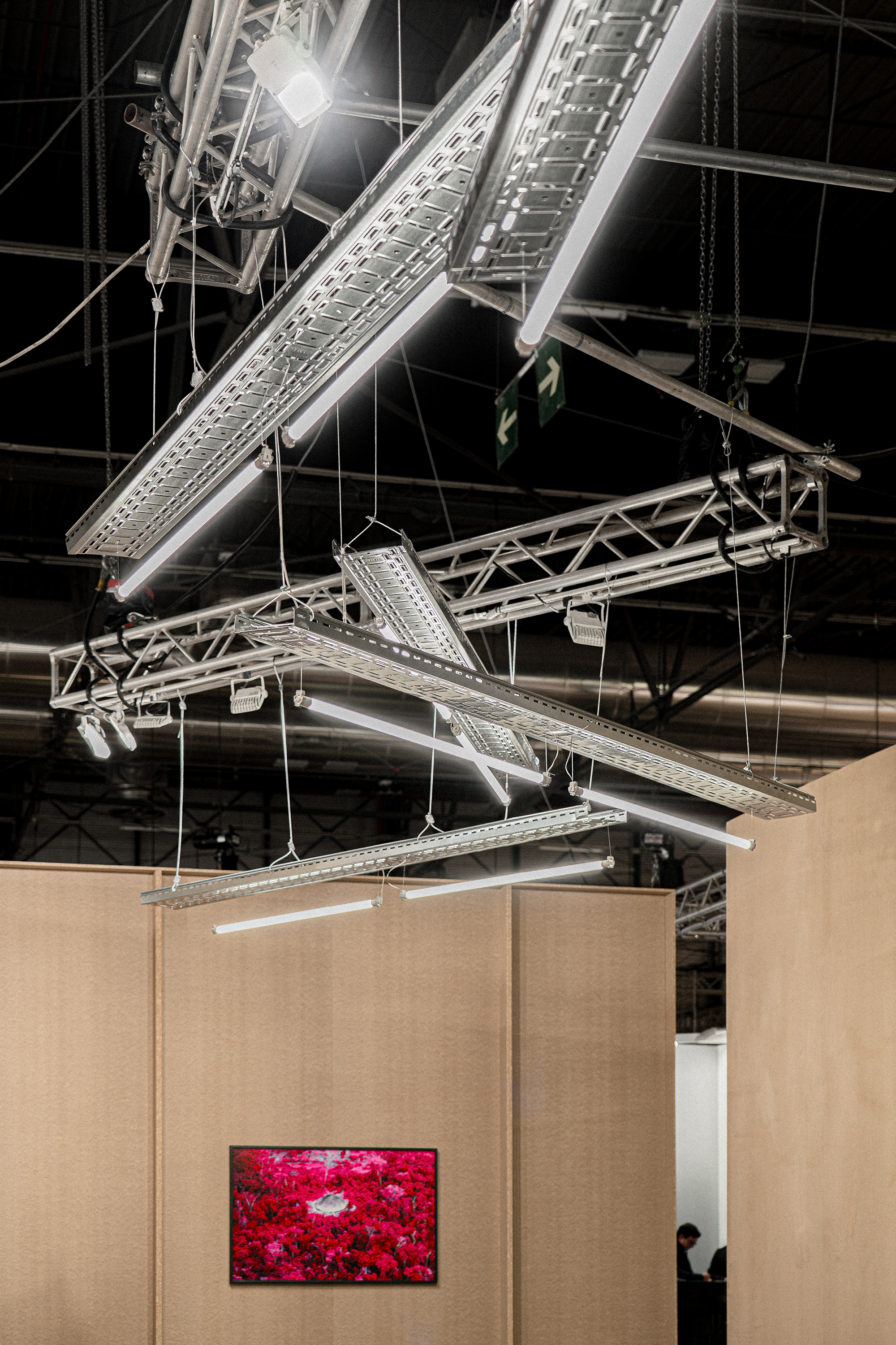 Institute for Postnatural Studies, project: Wametisé: Ideas for an Amazofuturism—ARCO 2025 (fig. 6)