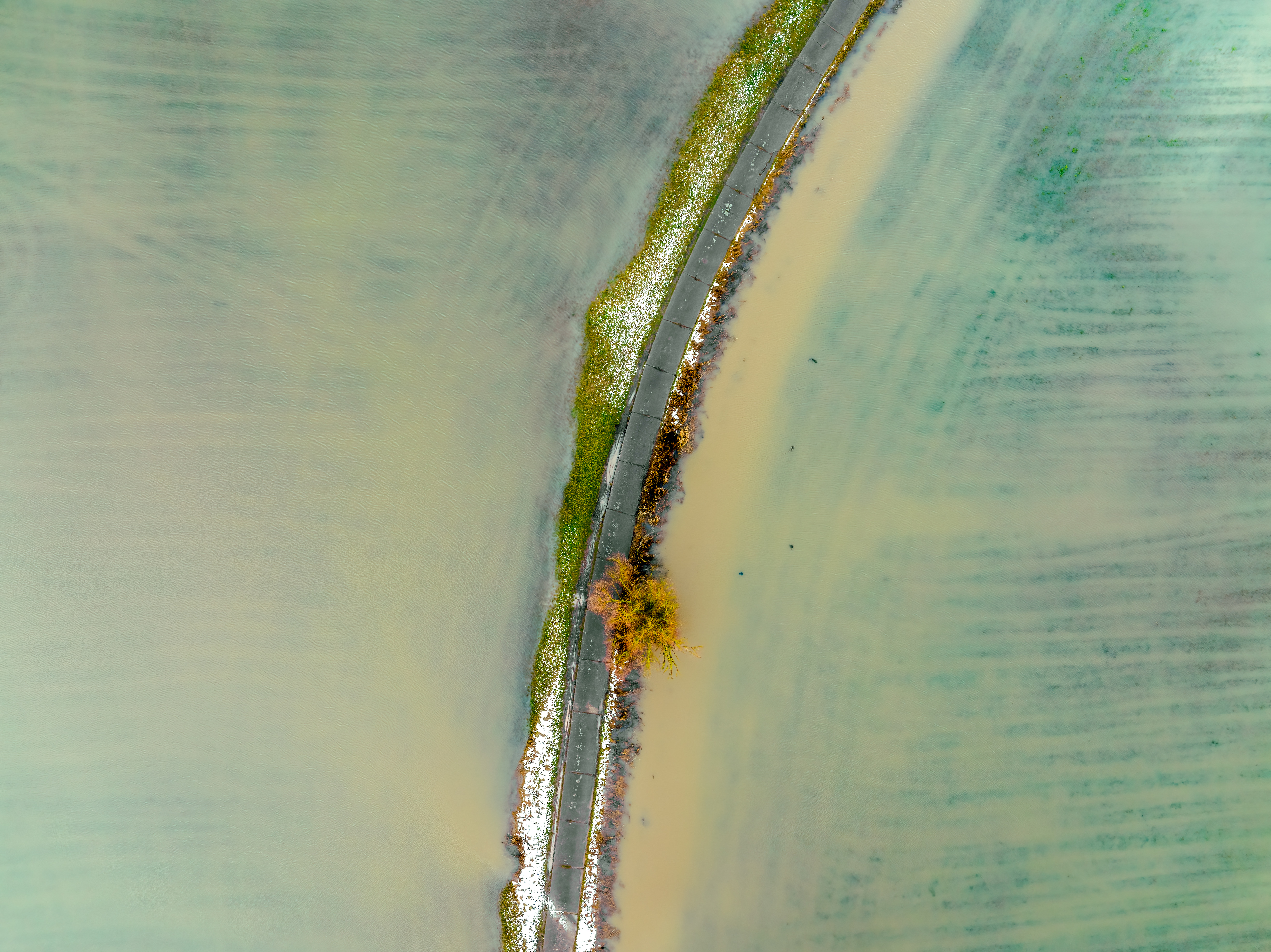 Institute for Postnatural Studies, course: Blue Ecologies ~ Sweet (fig. 1)