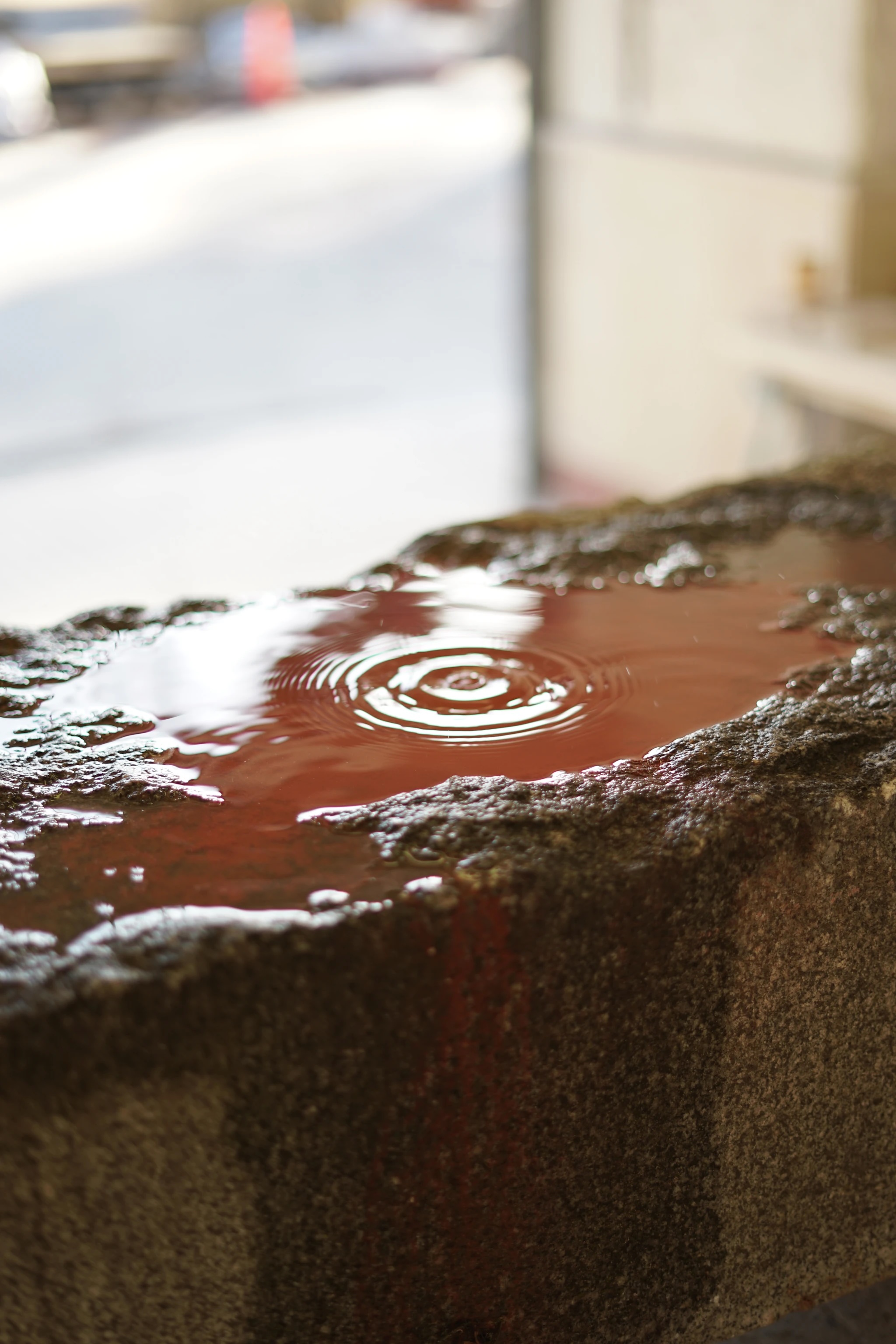 Institute for Postnatural Studies, project: SOFT MATTER, DEEP TIME (fig. 3)