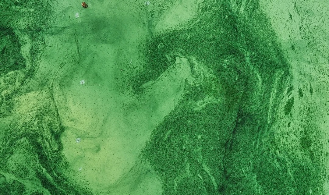 Institute for Postnatural Studies, project: SOFT MATTER, DEEP TIME (thumbnail landscape)