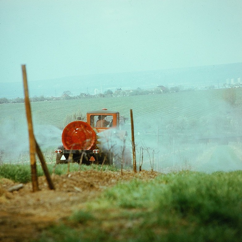Institute for Postnatural Studies, course: POSTNATURAL GARDENING (fig. 3)