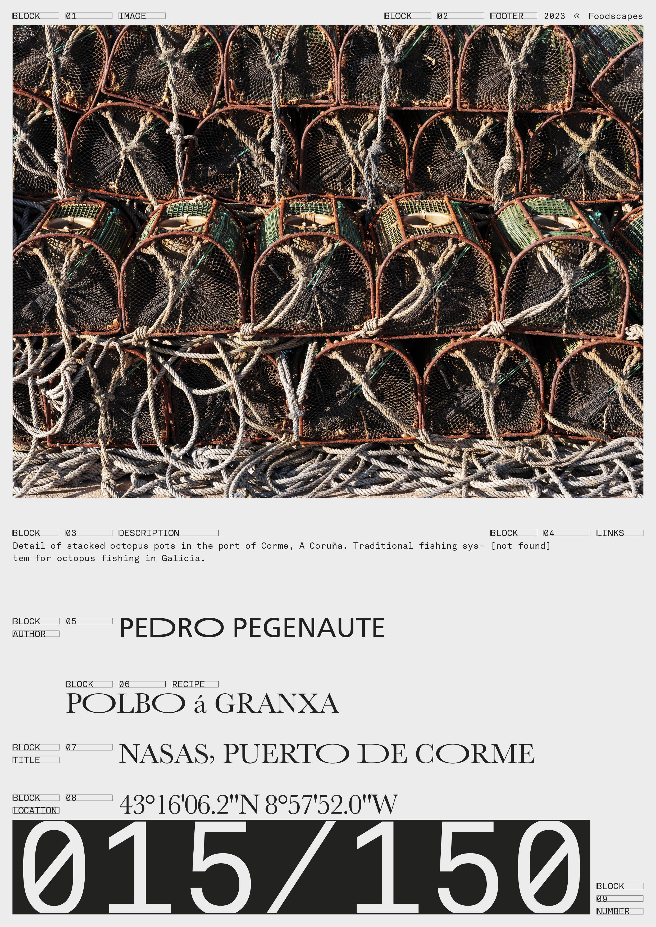 Institute for Postnatural Studies, project: FROM FLESH TO DATA (fig. 16)