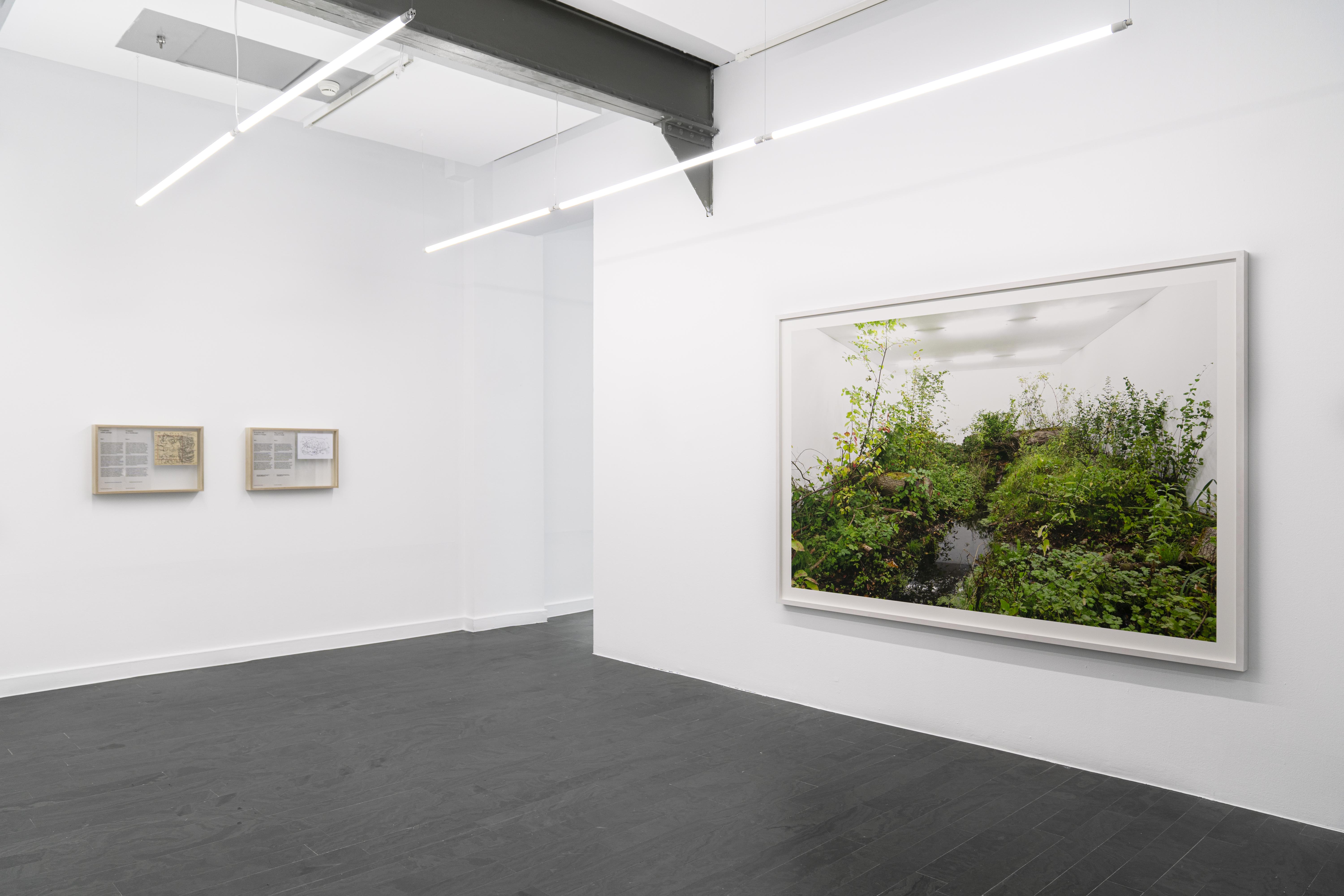 Institute for Postnatural Studies, project: A Green Jade Lake (fig. 4)