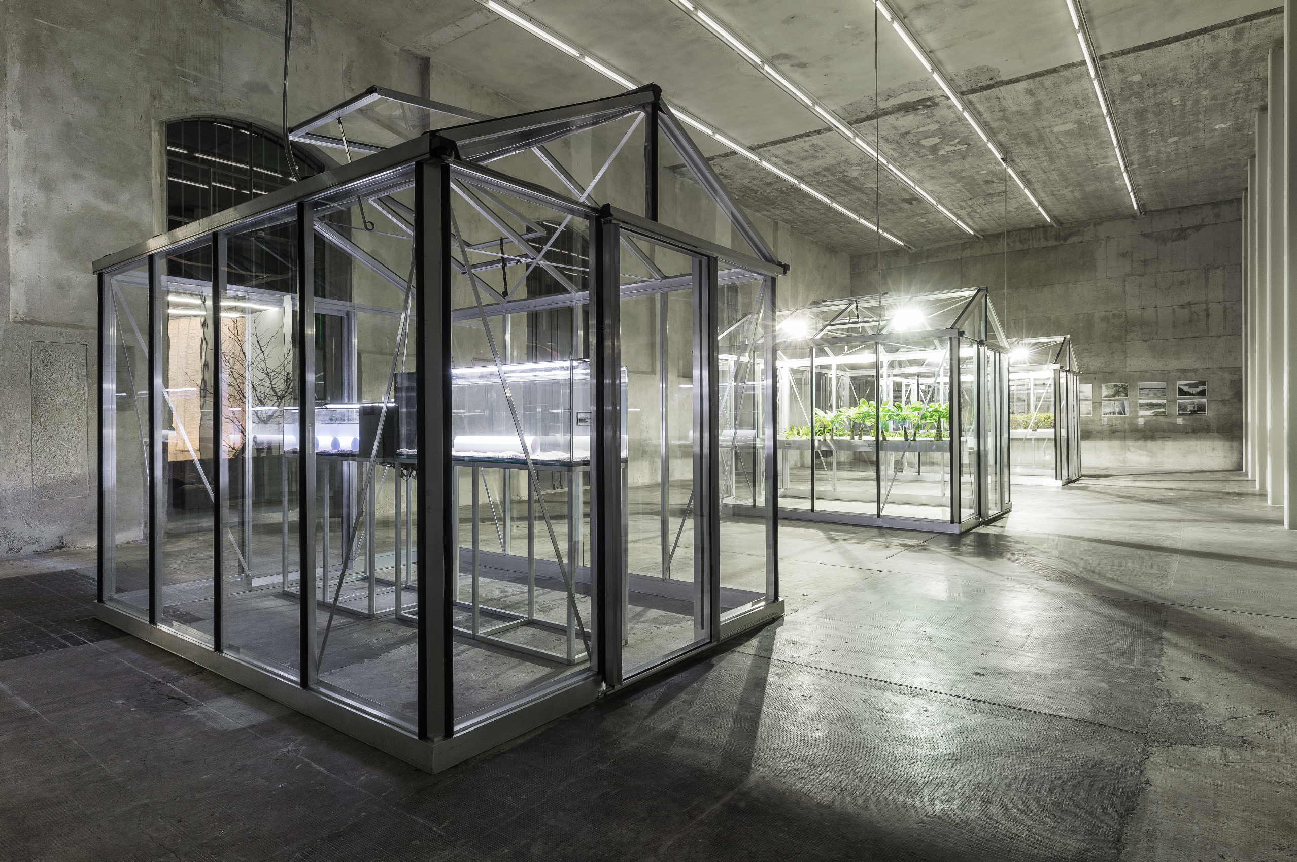 Institute for Postnatural Studies, project: A Green Jade Lake (fig. 9)