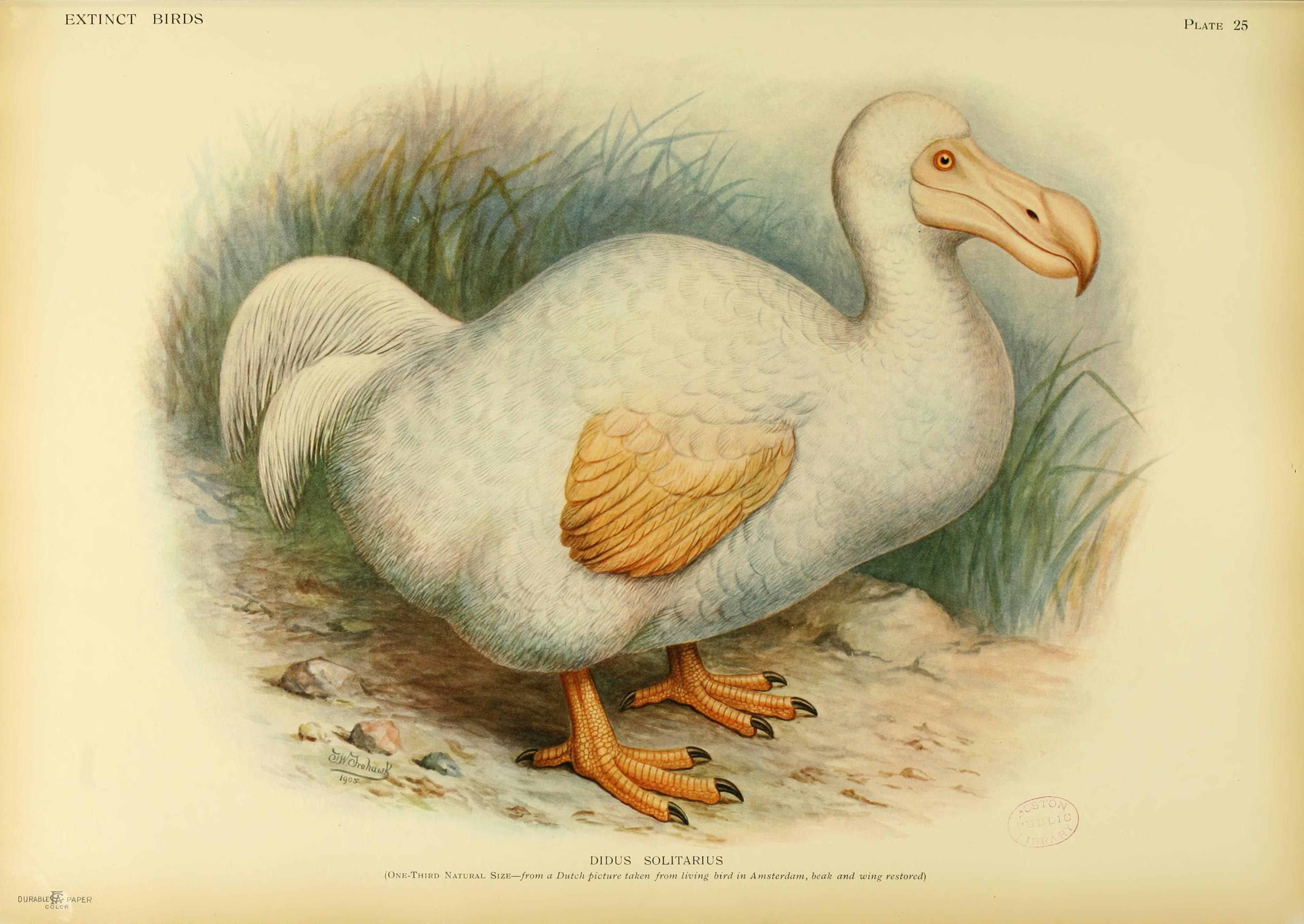 Institute for Postnatural Studies, course: SOUND ECOLOGIES (fig. 6)